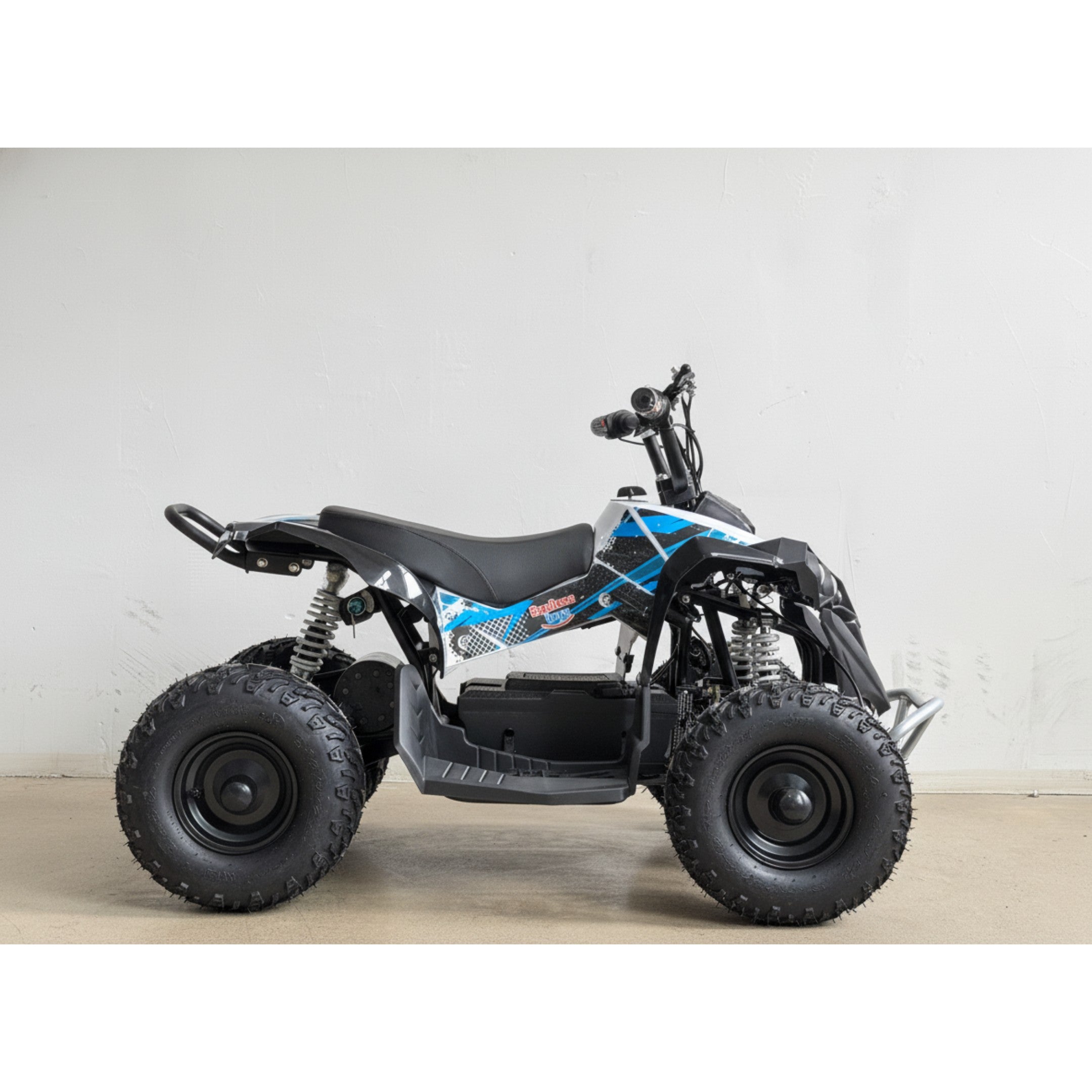 48V 1000W Kids Electric Quad Bike – High Power ATV (Black & Blue)